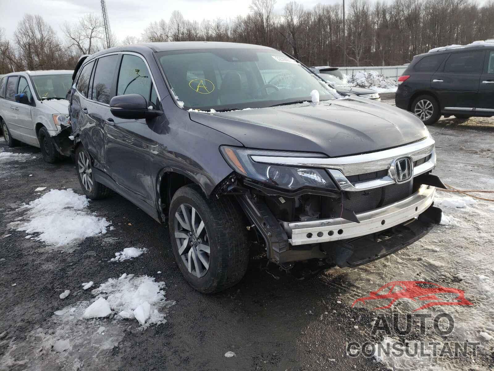HONDA PILOT 2019 - 5FNYF6H52KB041397