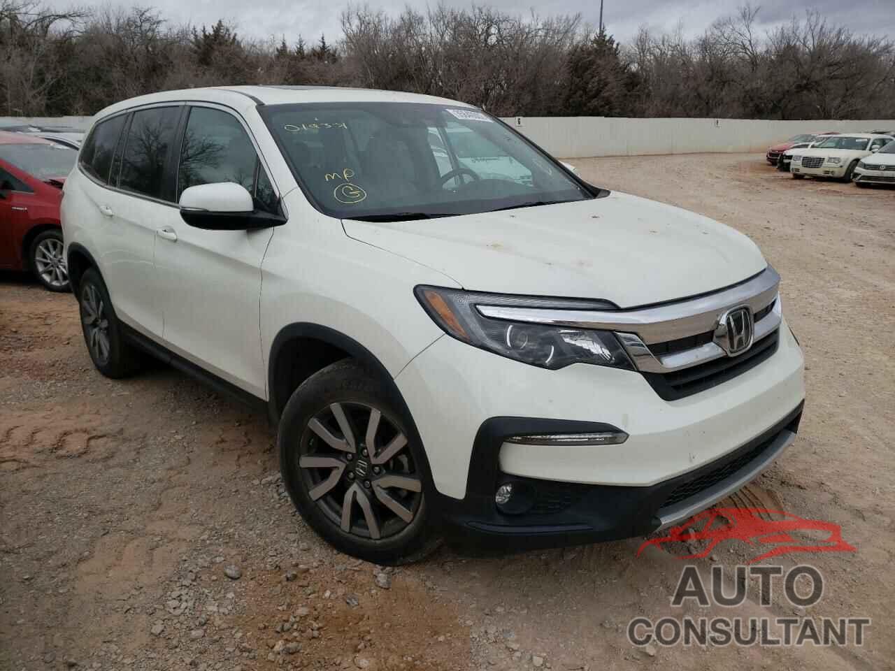 HONDA PILOT 2019 - 5FNYF5H52KB019331