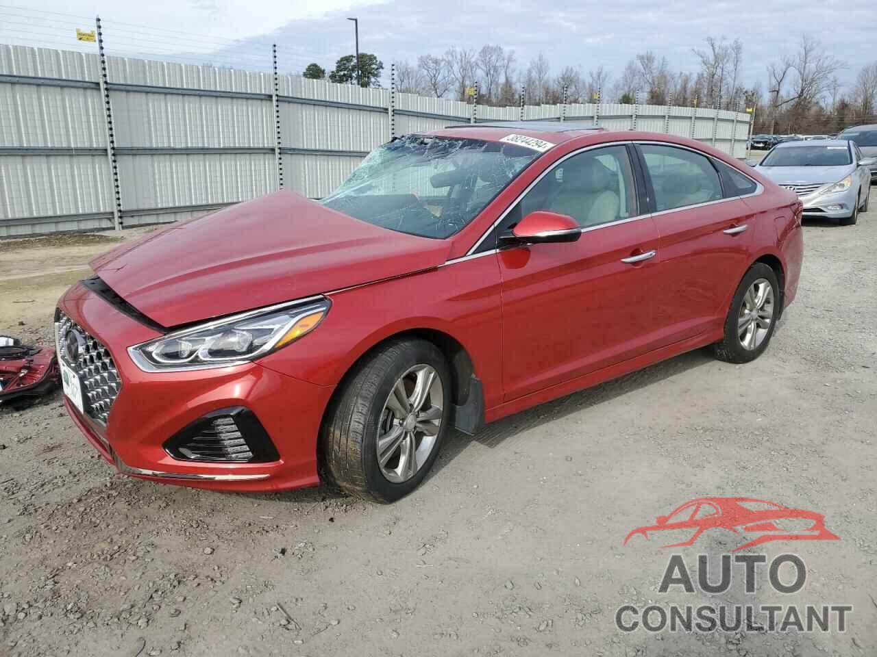 HYUNDAI SONATA 2019 - 5NPE34AF7KH808178
