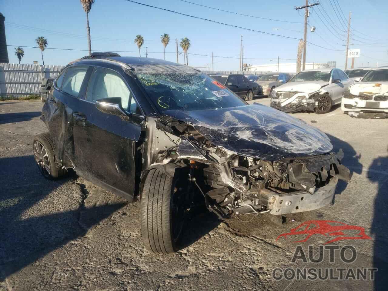 LEXUS UX 200 2019 - JTHY3JBH8K2006492