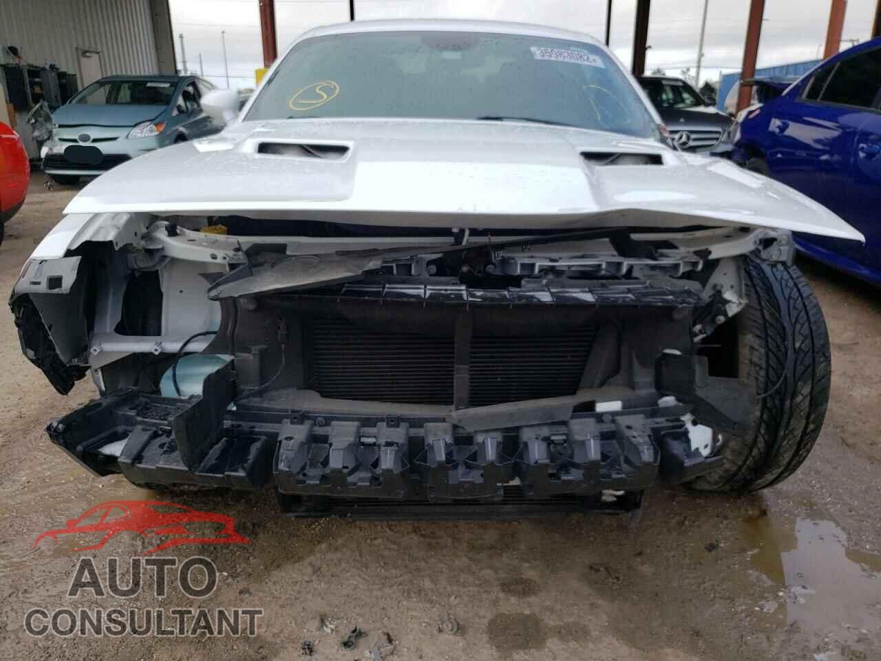 DODGE CHALLENGER 2019 - 2C3CDZAG9KH751876