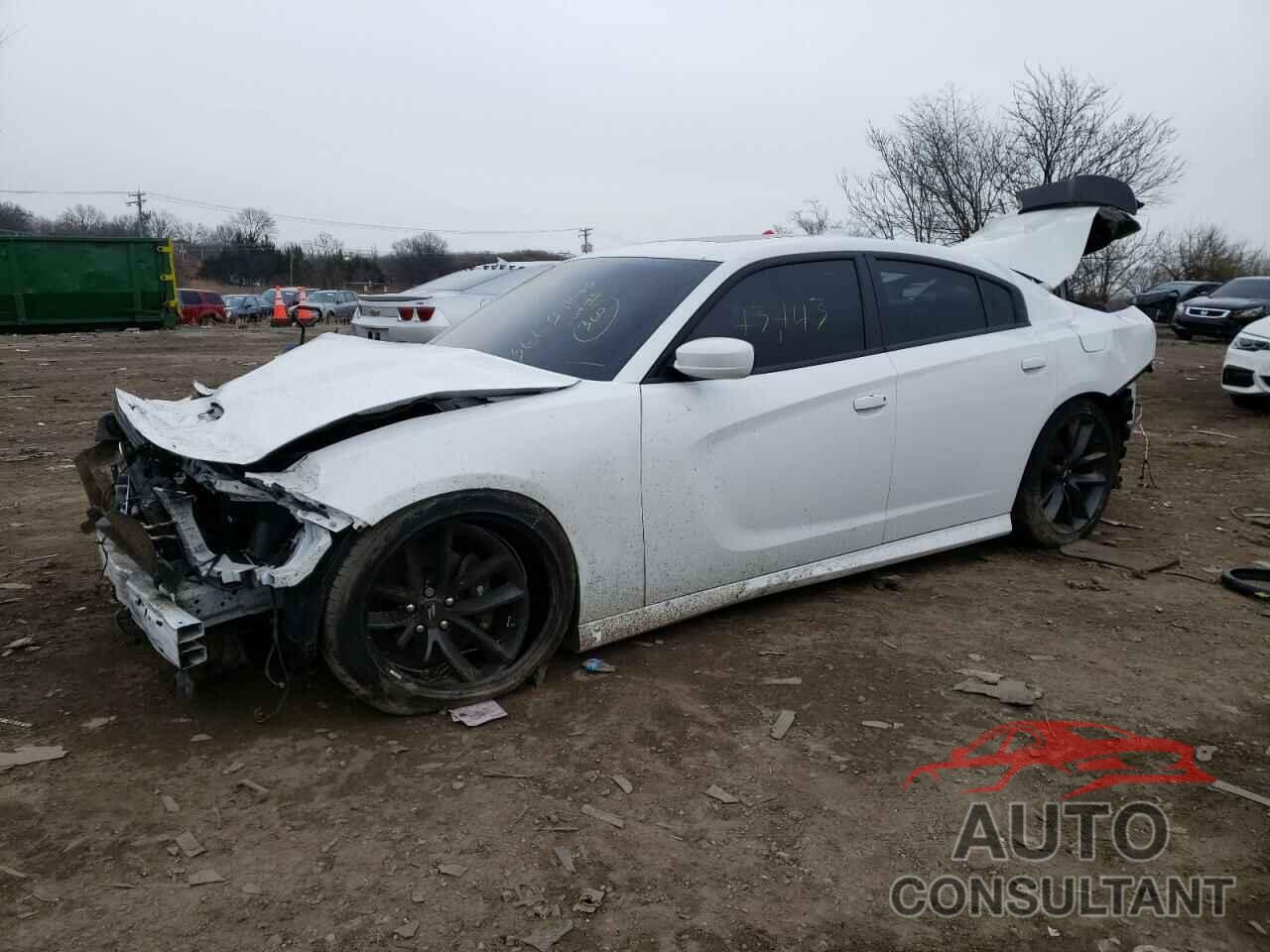 DODGE CHARGER 2019 - 2C3CDXGJ9KH519155