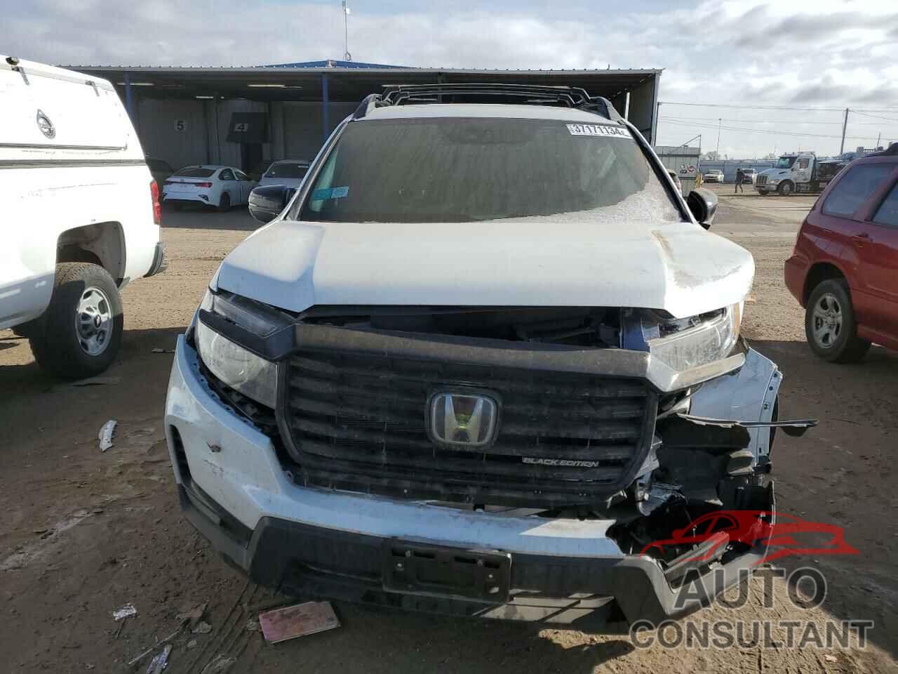 HONDA RIDGELINE 2022 - 5FPYK3F88NB007466