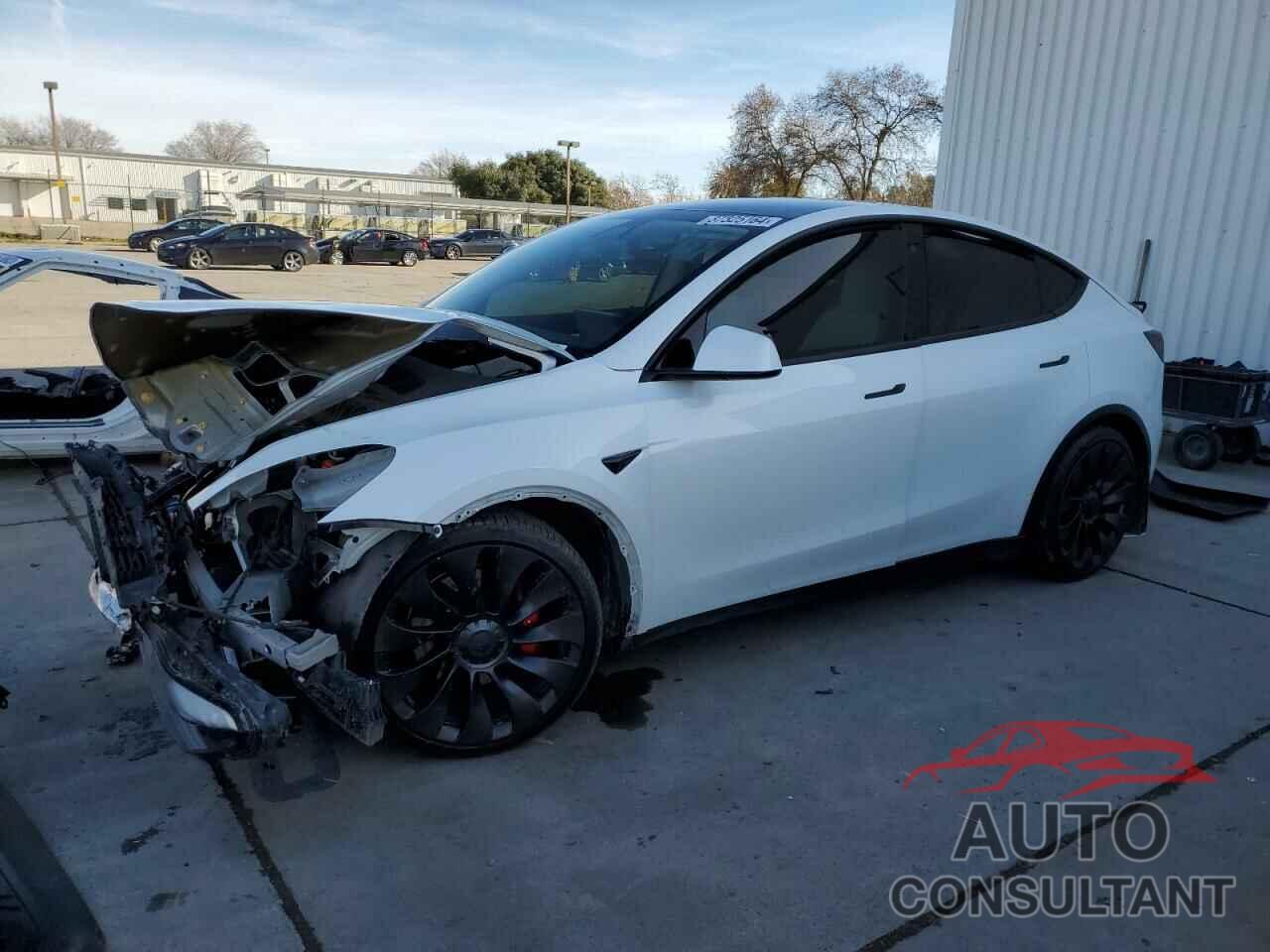 TESLA MODEL Y 2022 - 7SAYGDEF4NF409830