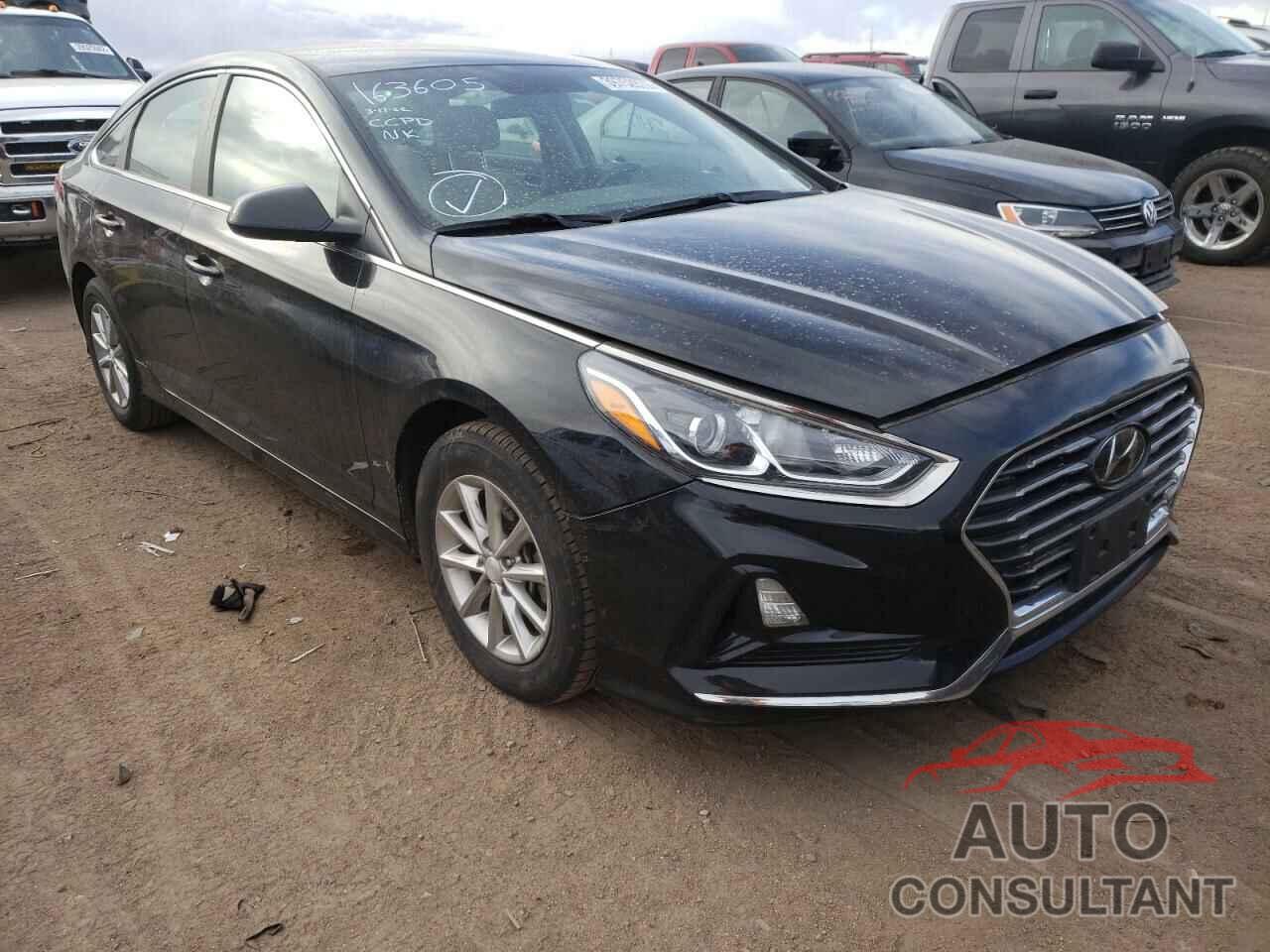 HYUNDAI SONATA 2019 - 5NPE24AF9KH744406