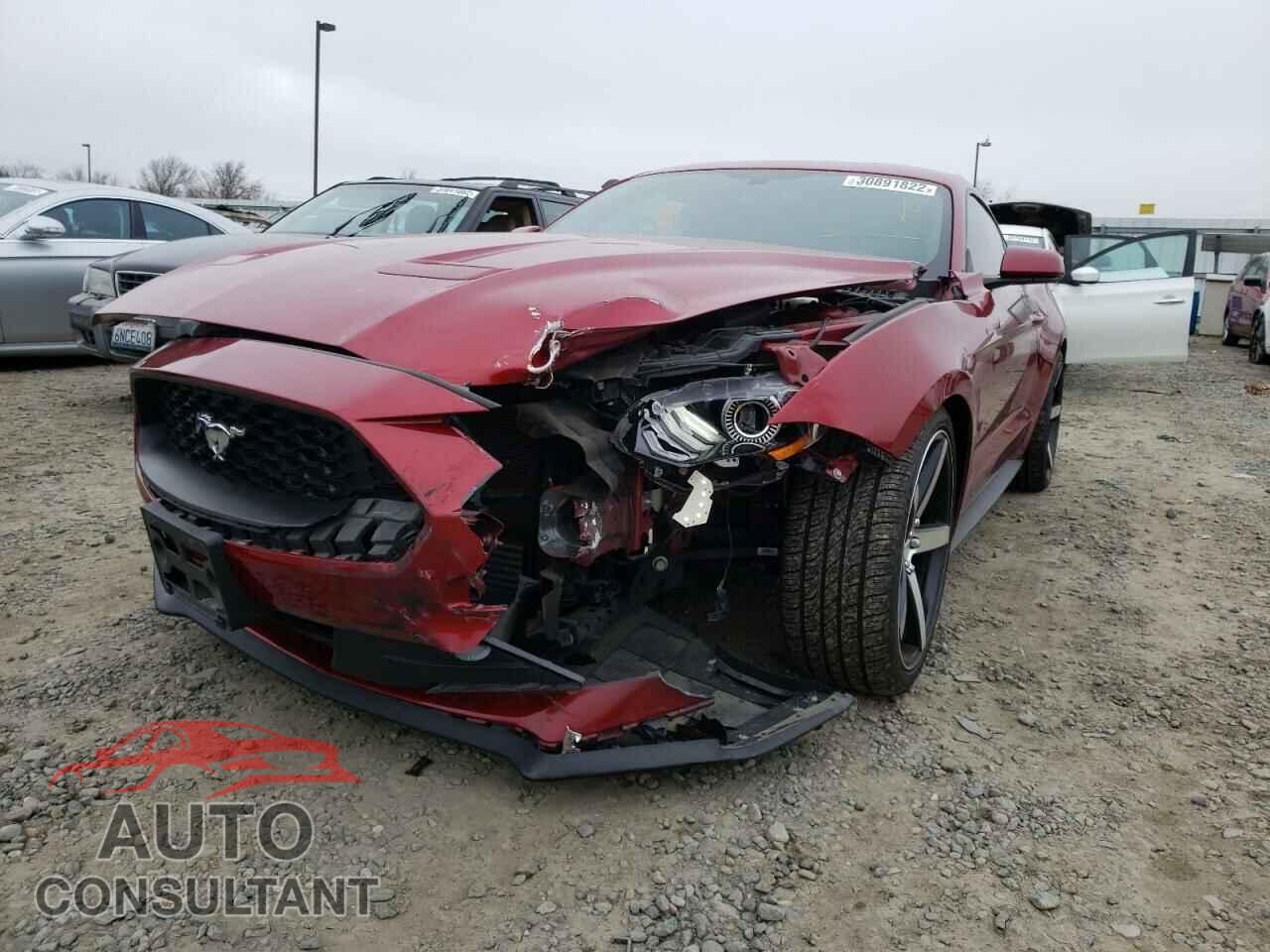 FORD MUSTANG 2019 - 1FA6P8TH9K5135494
