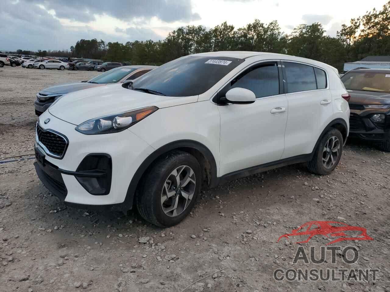 KIA SPORTAGE 2021 - KNDPM3AC6M7868255