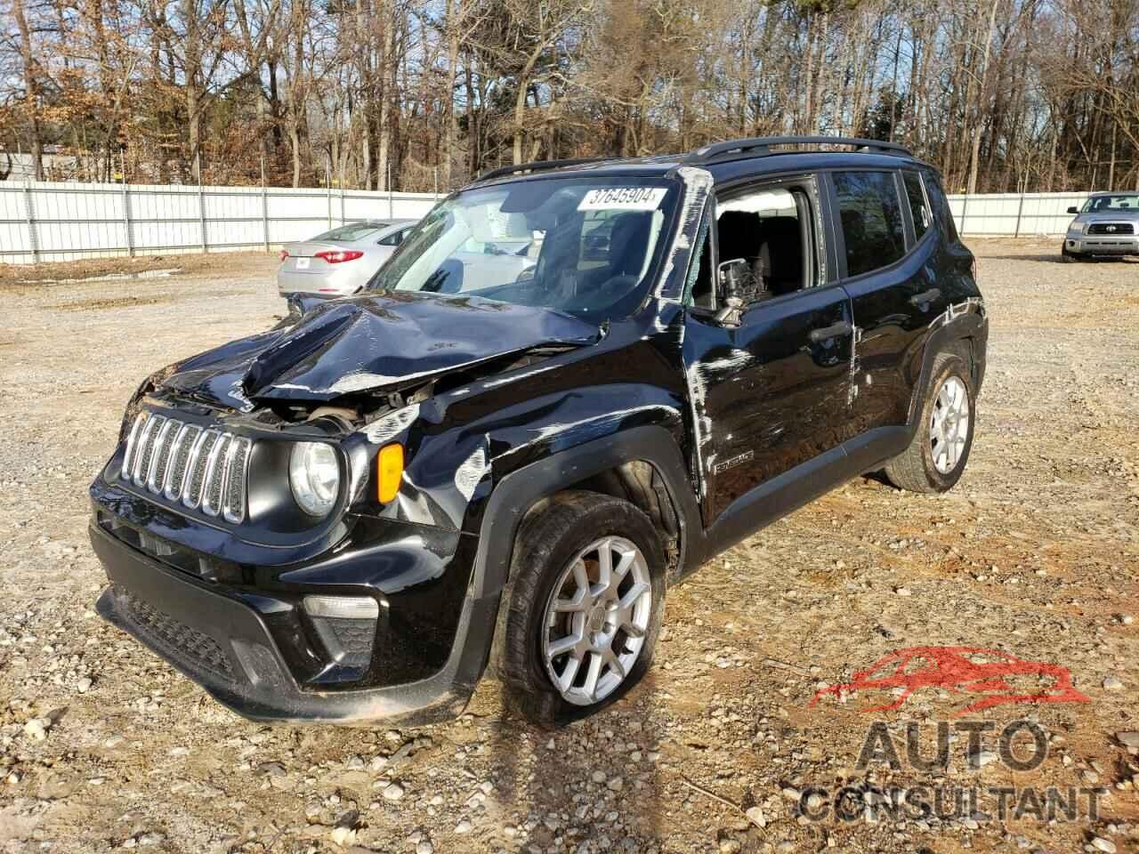 JEEP RENEGADE 2019 - ZACNJAAB2KPK39861