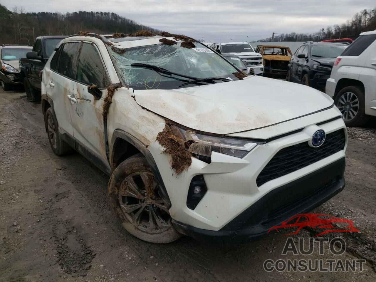 TOYOTA RAV4 2022 - 4T3B6RFV4NU067203