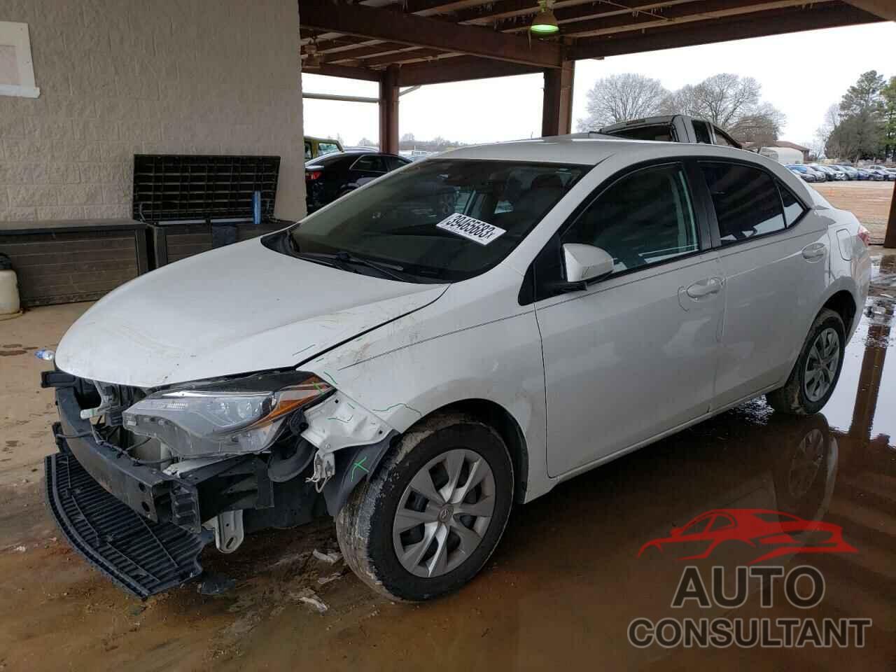 2019 COROLLA TOYOTA