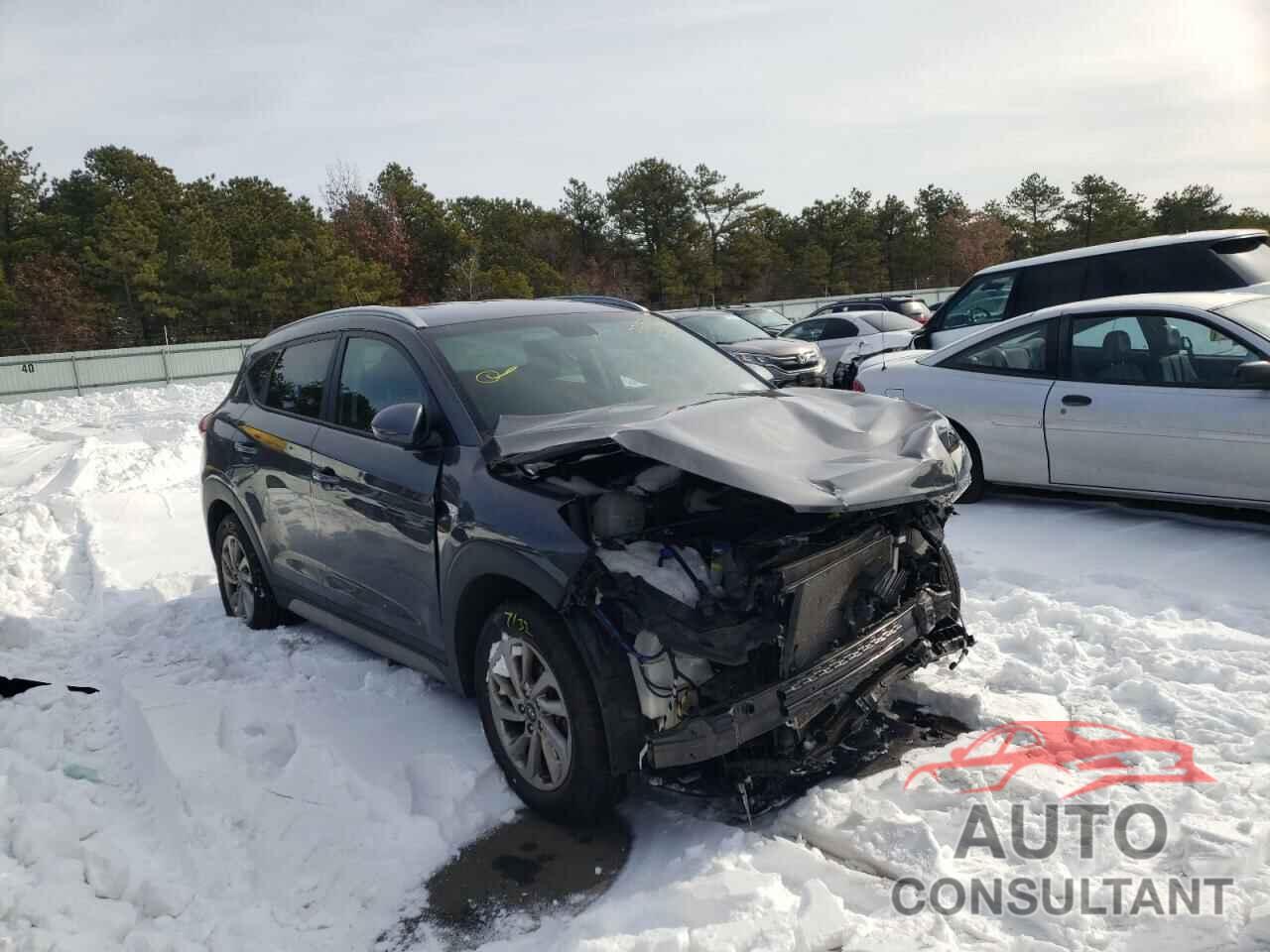 HYUNDAI TUCSON 2017 - KM8J3CA41HU536423