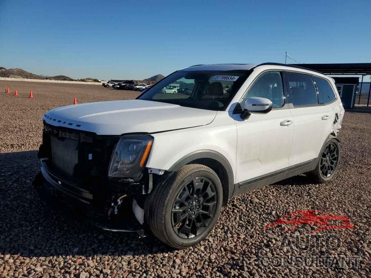 KIA TELLURIDE 2022 - 5XYP3DHC1NG256001