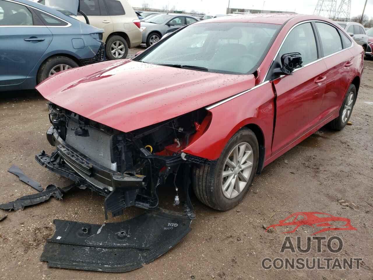 HYUNDAI SONATA 2019 - 5NPE24AF4KH809520