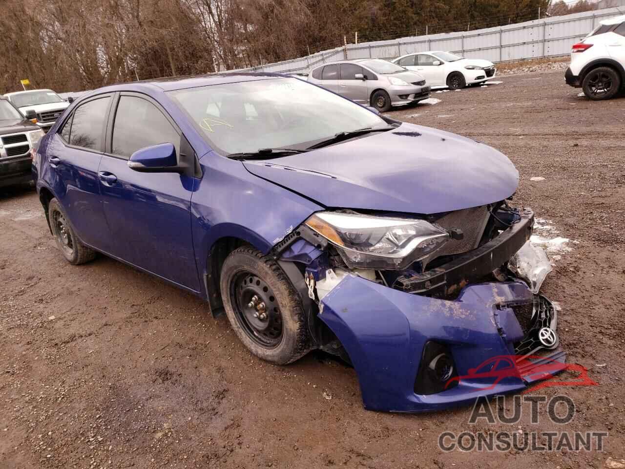 TOYOTA COROLLA 2016 - 2T1BURHE4GC526455