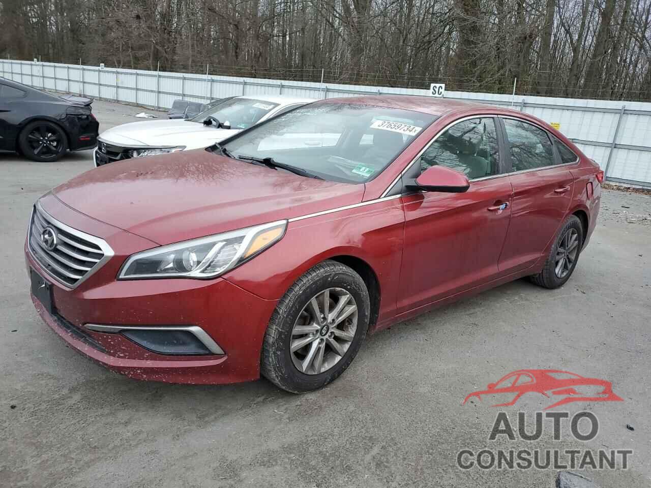 HYUNDAI SONATA 2016 - 5NPE24AF1GH312870