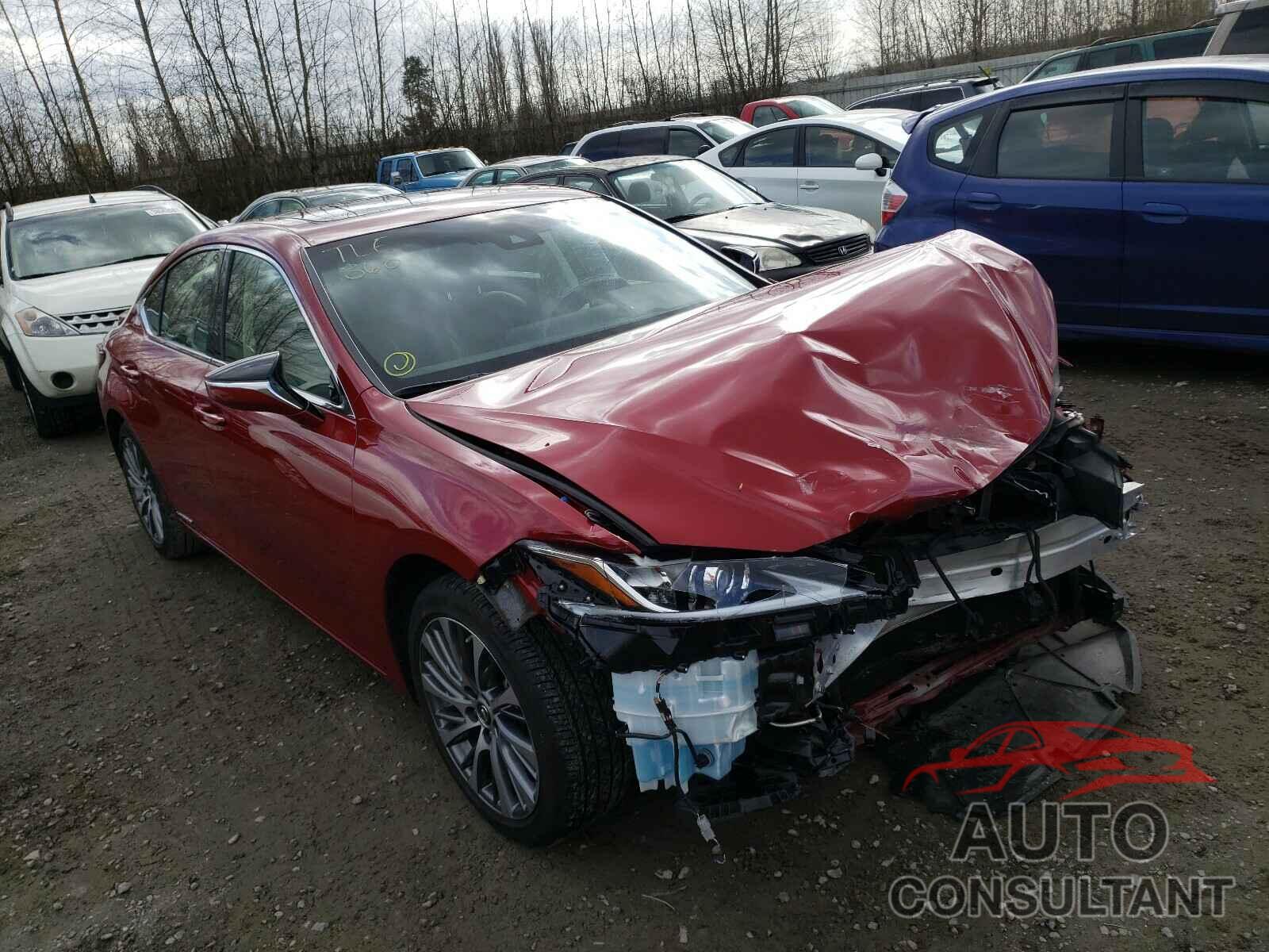 LEXUS ES300 2019 - JTHB21B16K2006163