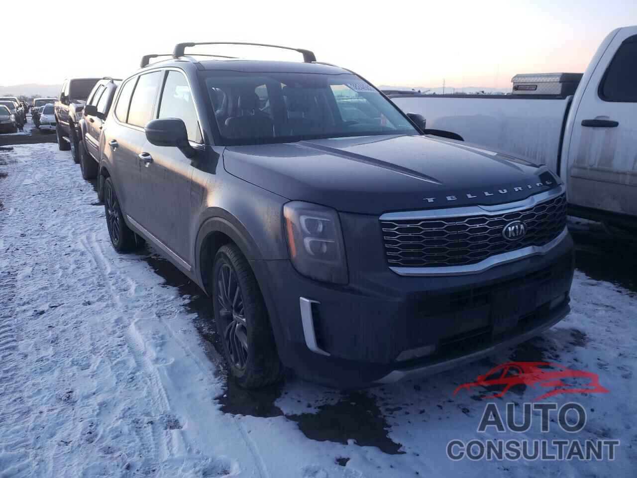 KIA TELLURIDE 2020 - 5XYP5DHC3LG023728