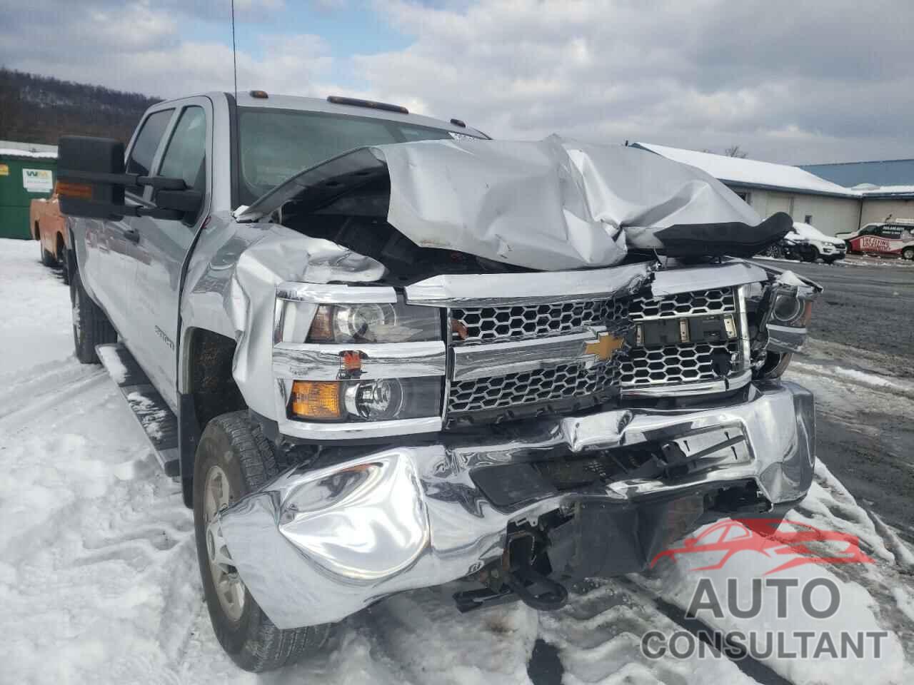 CHEVROLET SILVERADO 2019 - 1GC1KREG9KF275911