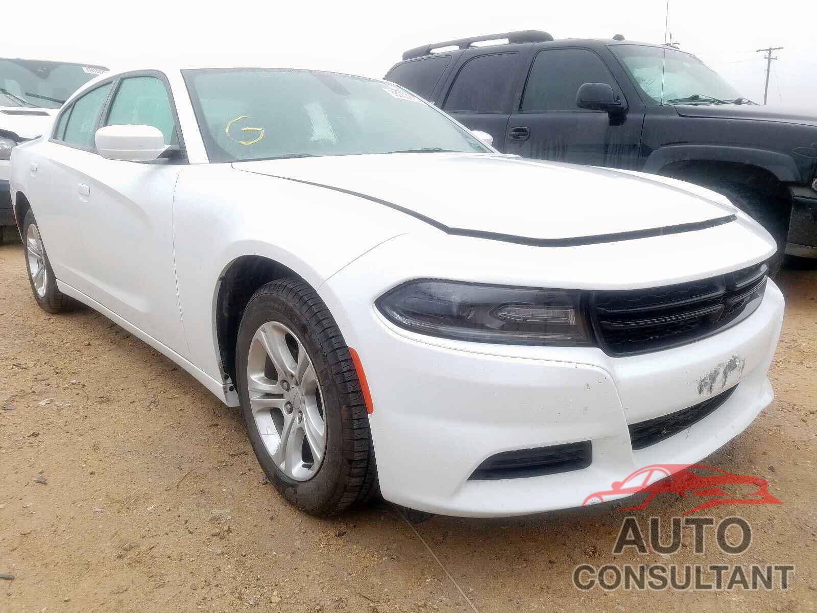 DODGE CHARGER 2019 - 2C4RDGBGXGR392452