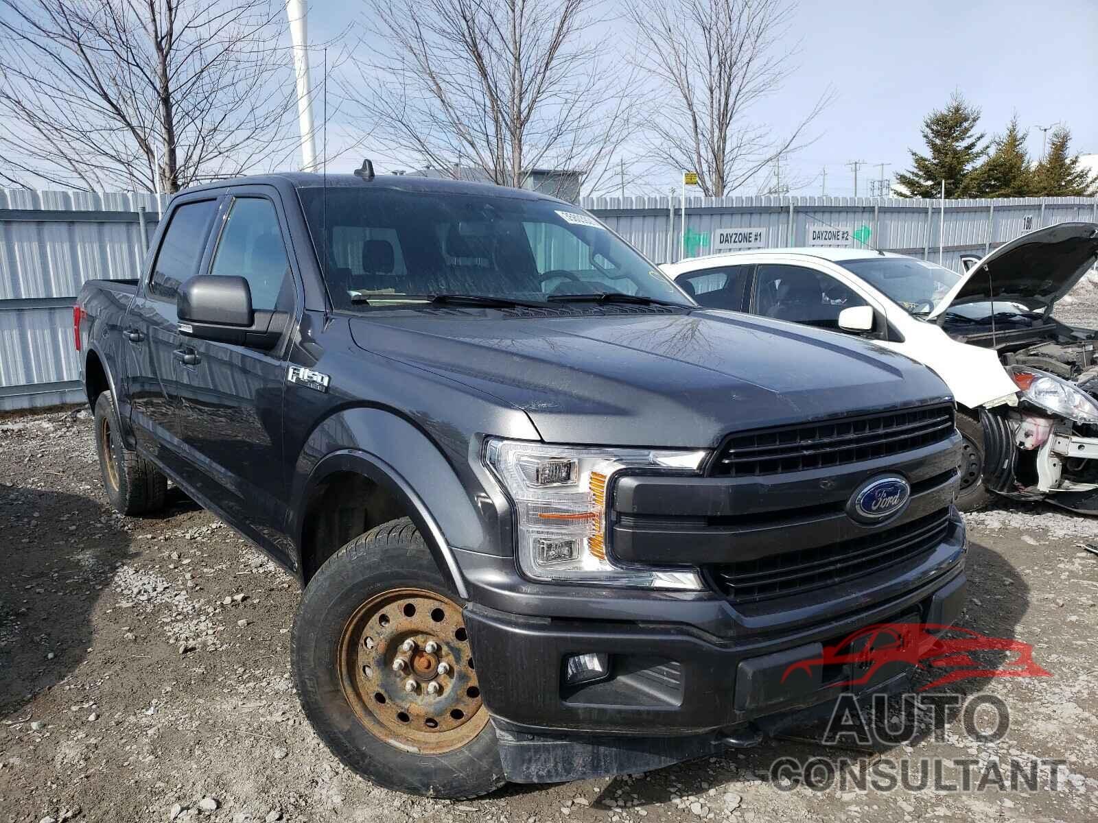 FORD F150 2019 - 1FTEW1EP0KFB97977