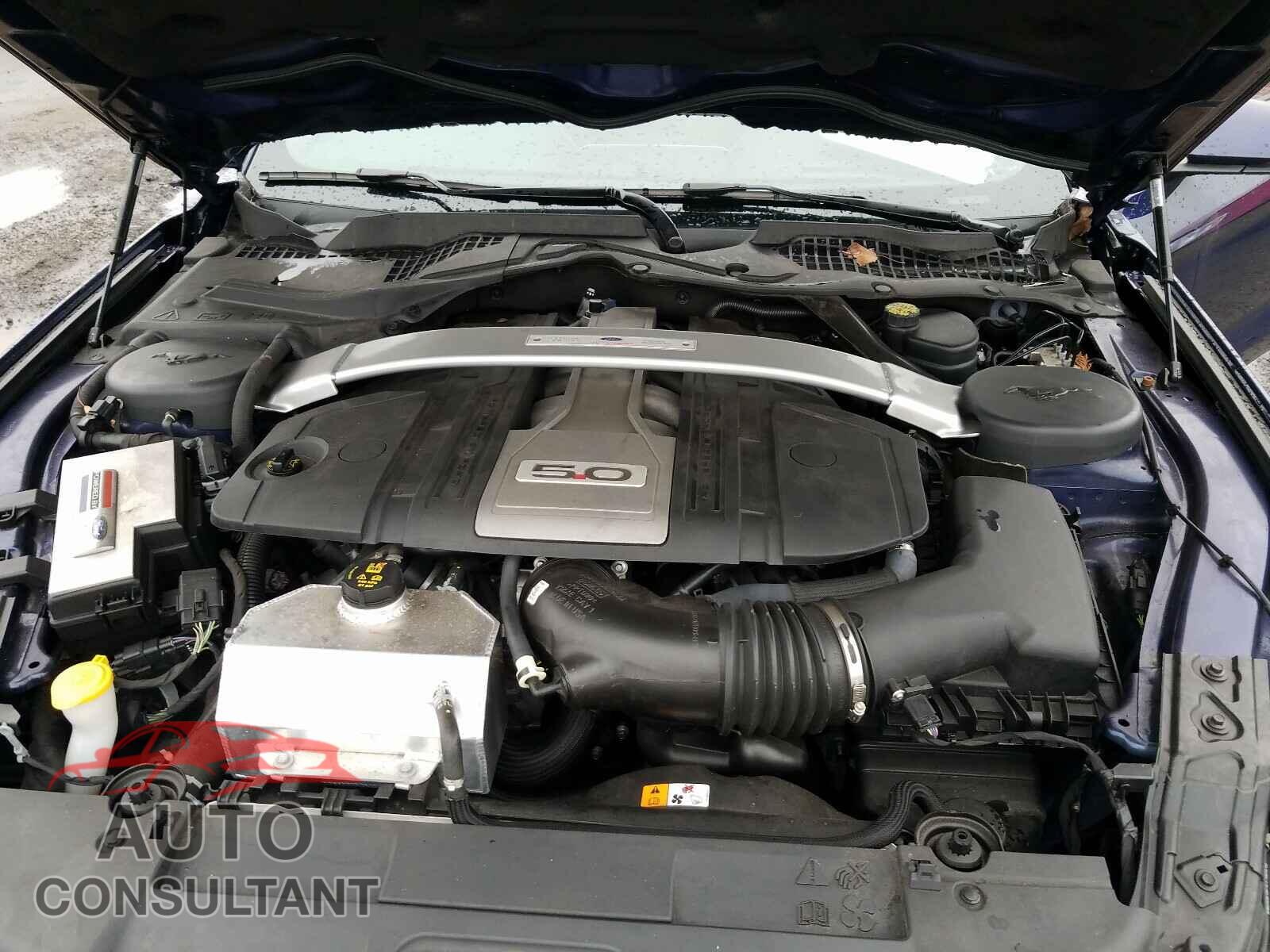 FORD MUSTANG 2018 - 1FA6P8CF1J5113552