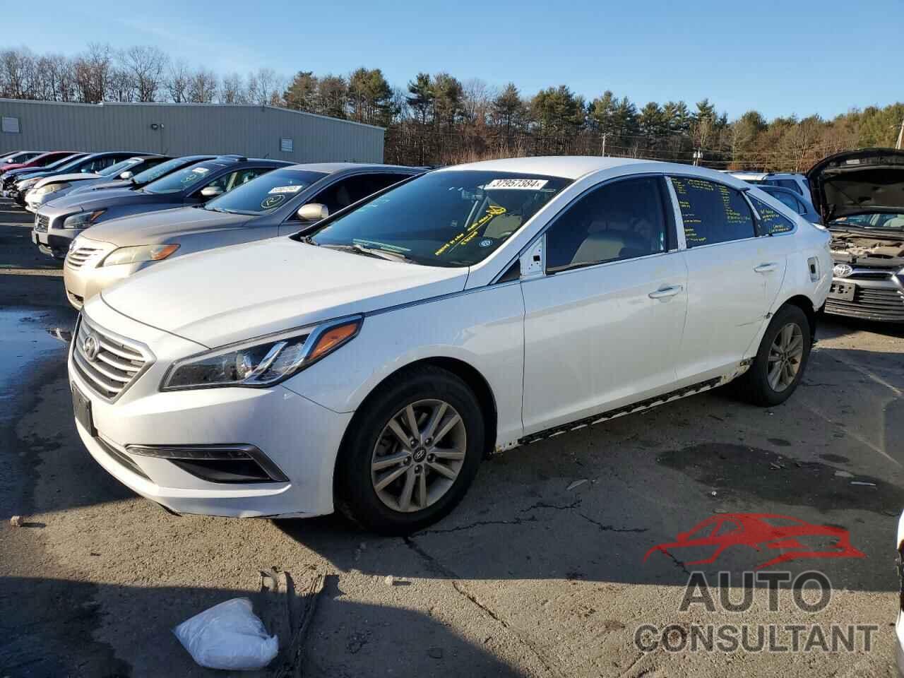 HYUNDAI SONATA 2015 - 5NPE24AF1FH057894
