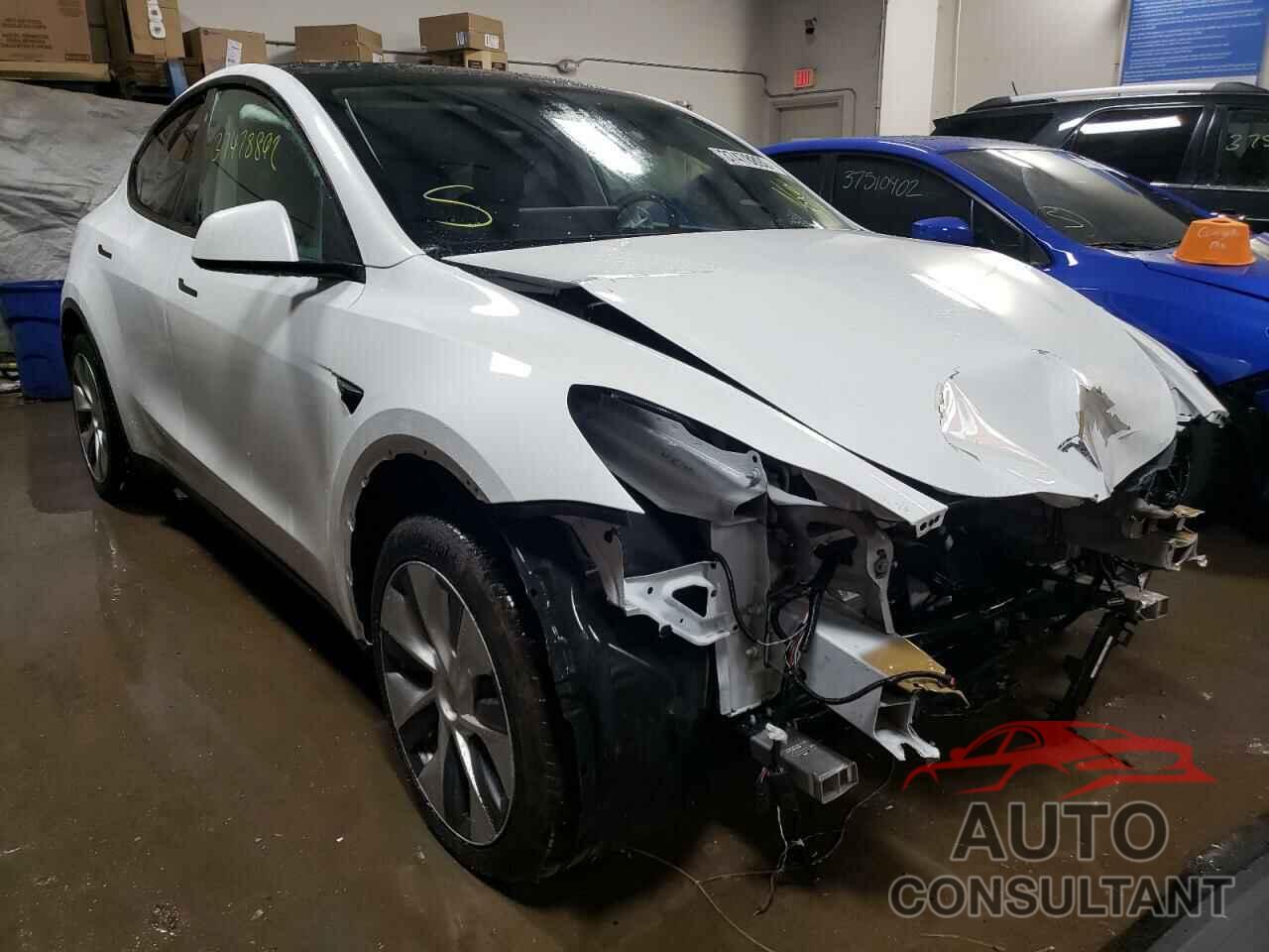 TESLA MODEL Y 2021 - 5YJYGDEE7MF065428