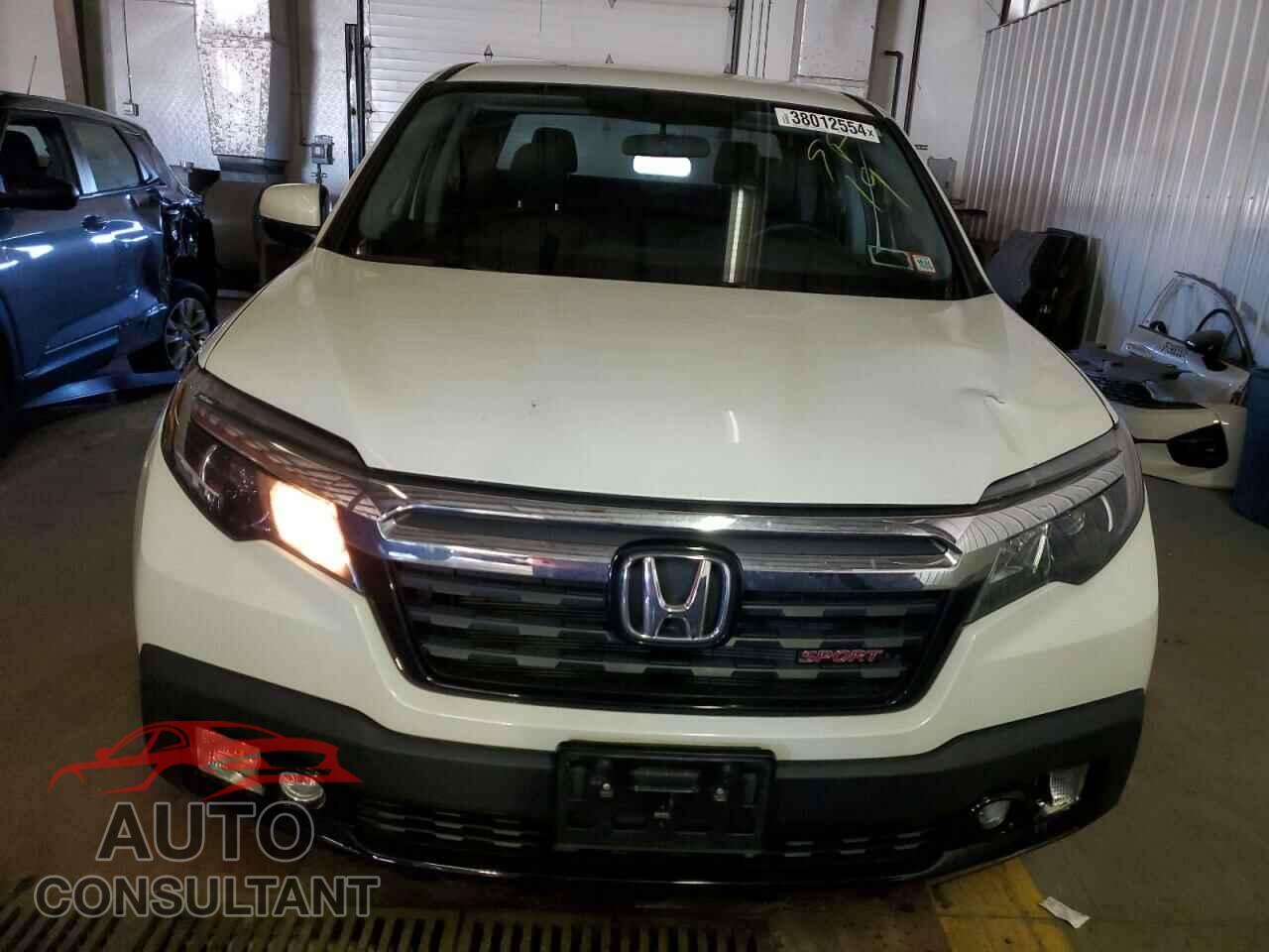 HONDA RIDGELINE 2019 - 5FPYK3F17KB043776