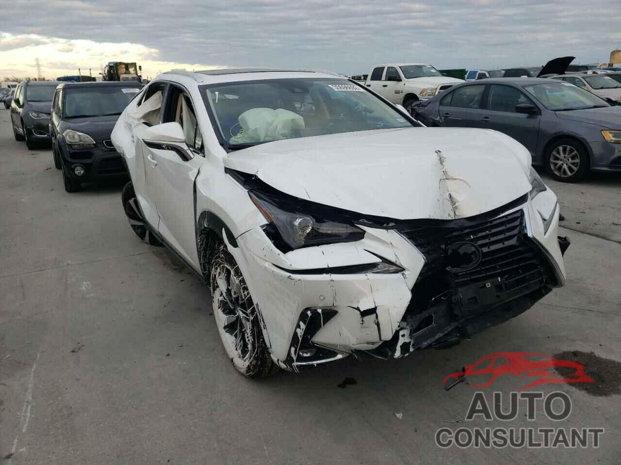 LEXUS NX 2021 - JTJGARBZ5M5029916