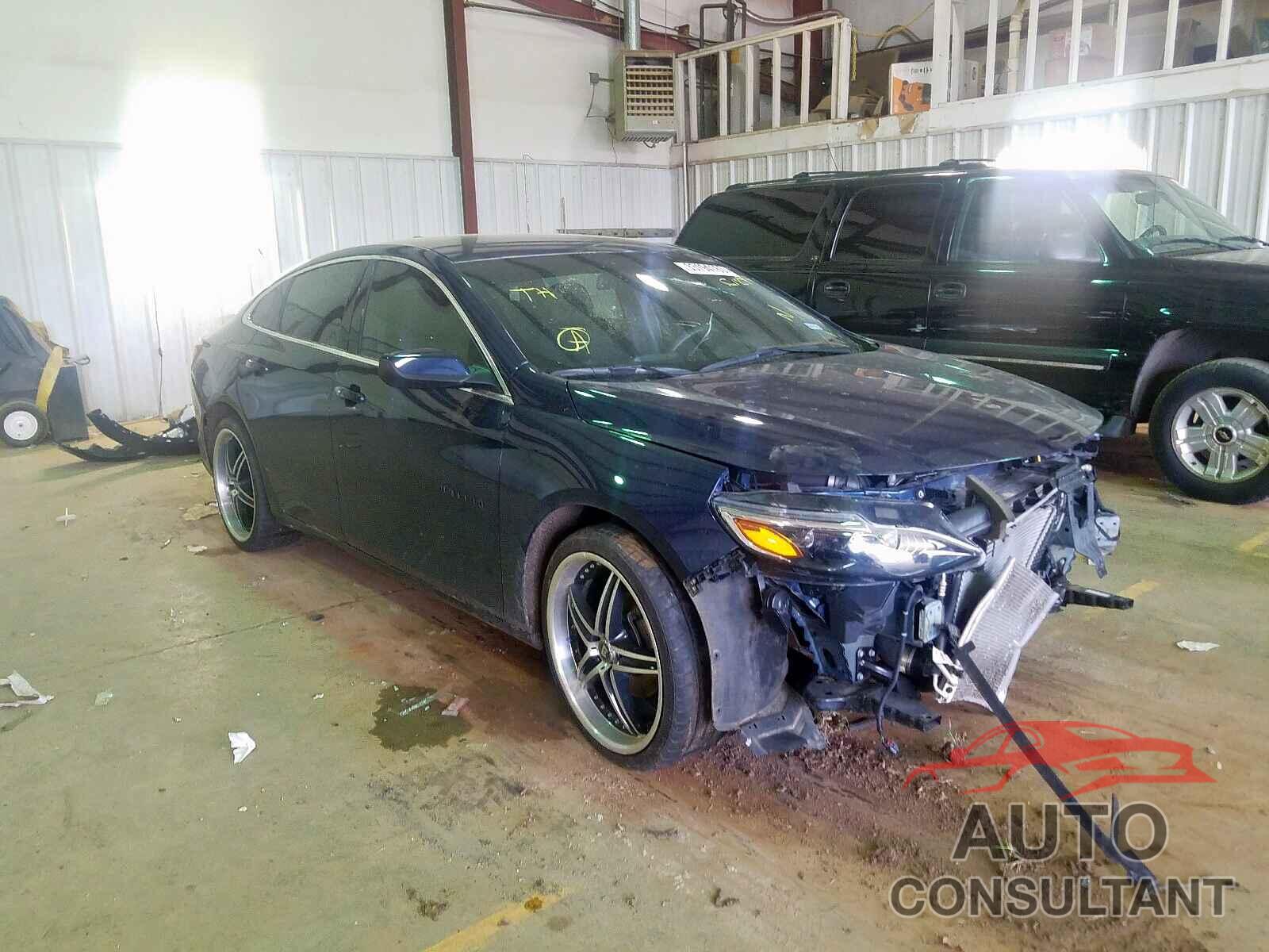 CHEVROLET MALIBU 2019 - 2C4RDGBG6GR103518