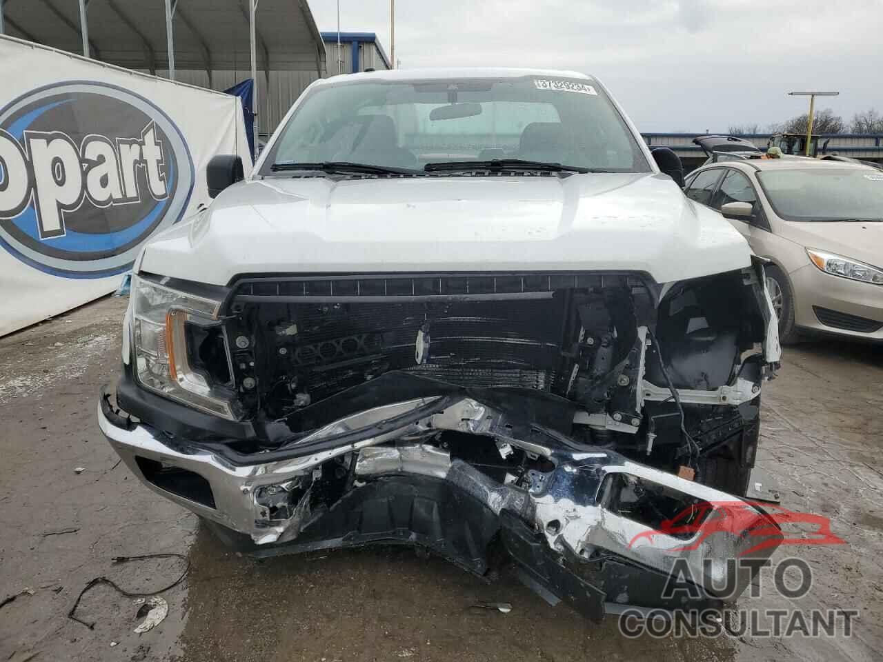 FORD All Models 2019 - 1FTMF1CB0KKE43887