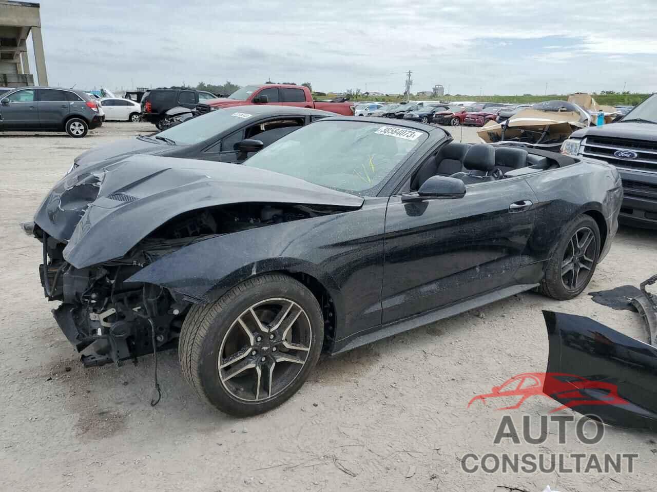 FORD MUSTANG 2019 - 1FATP8UH5K5162466