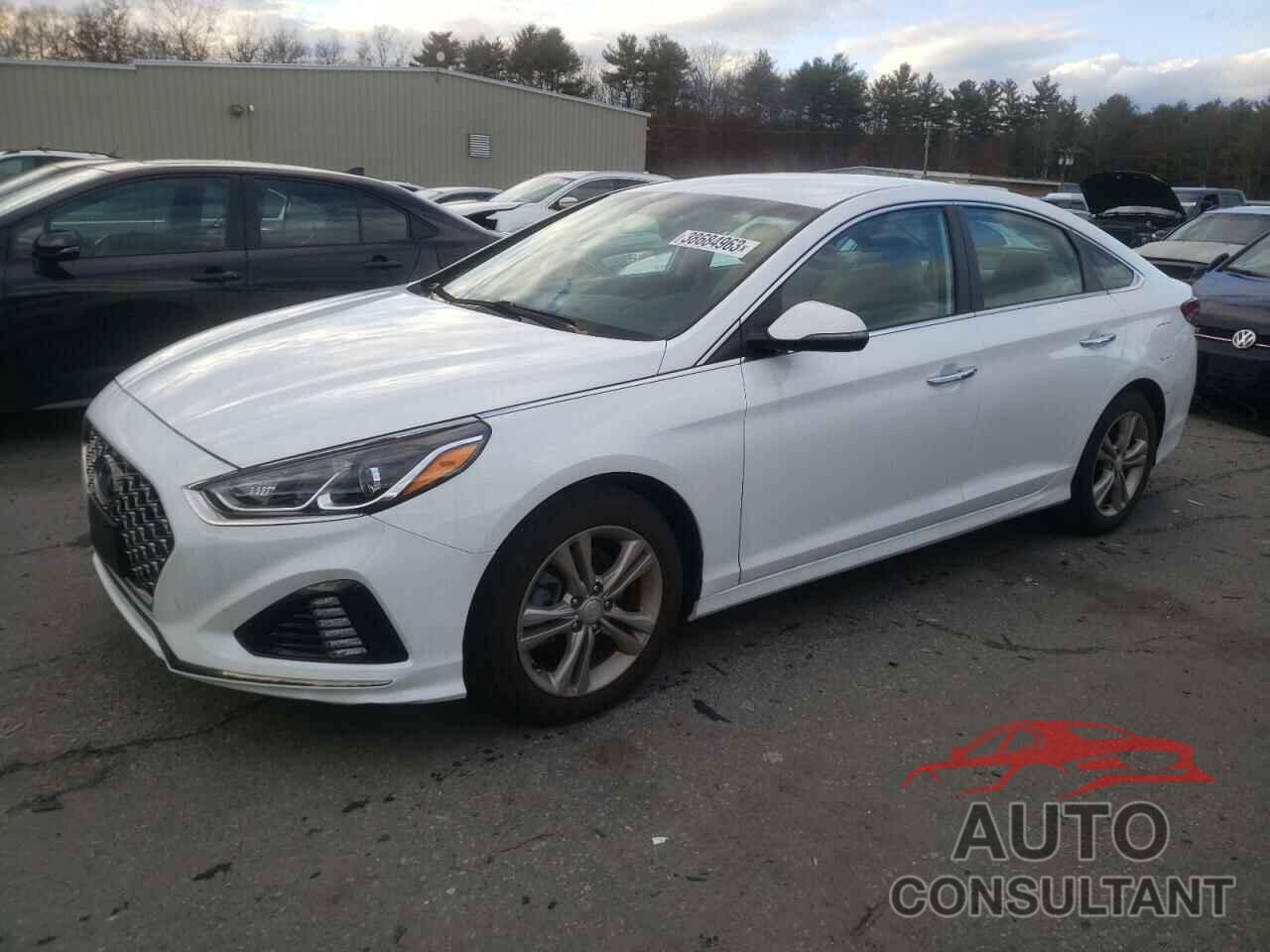 HYUNDAI SONATA 2019 - 5NPE34AF7KH729111