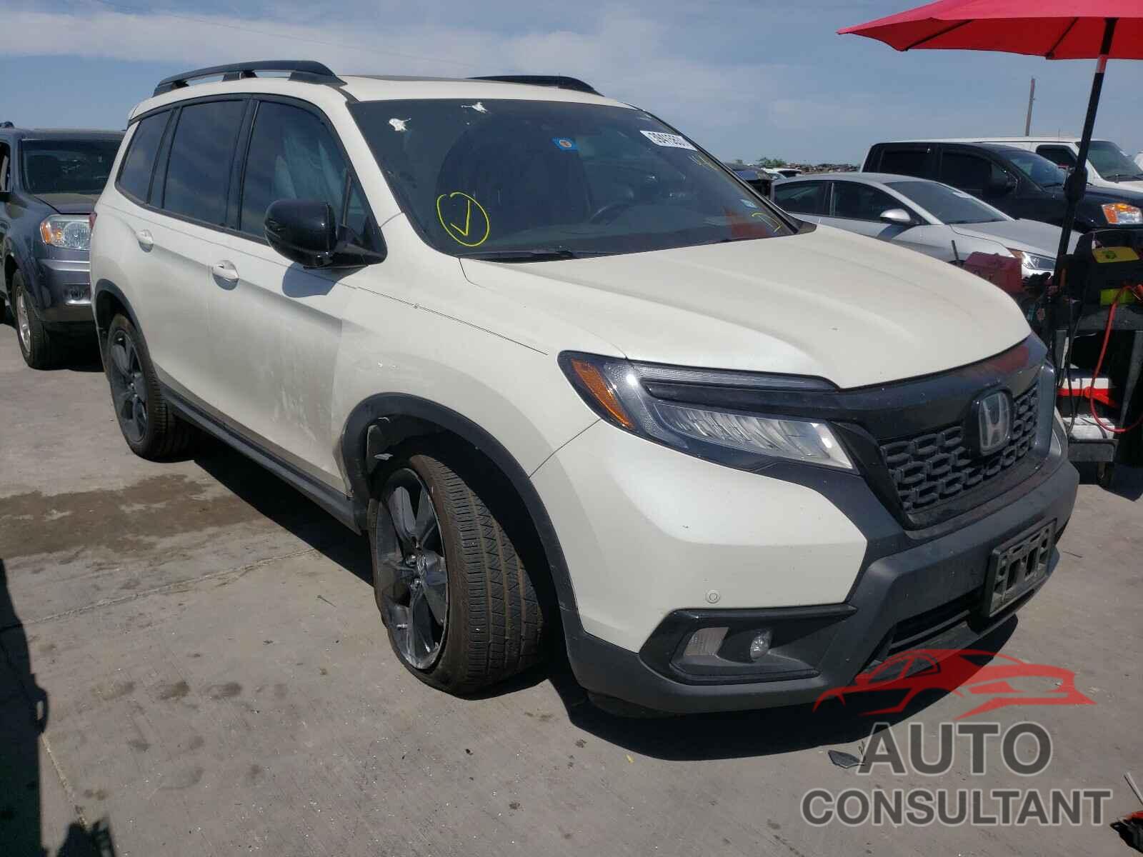 HONDA PASSPORT 2019 - 5FNYF8H09KB010955