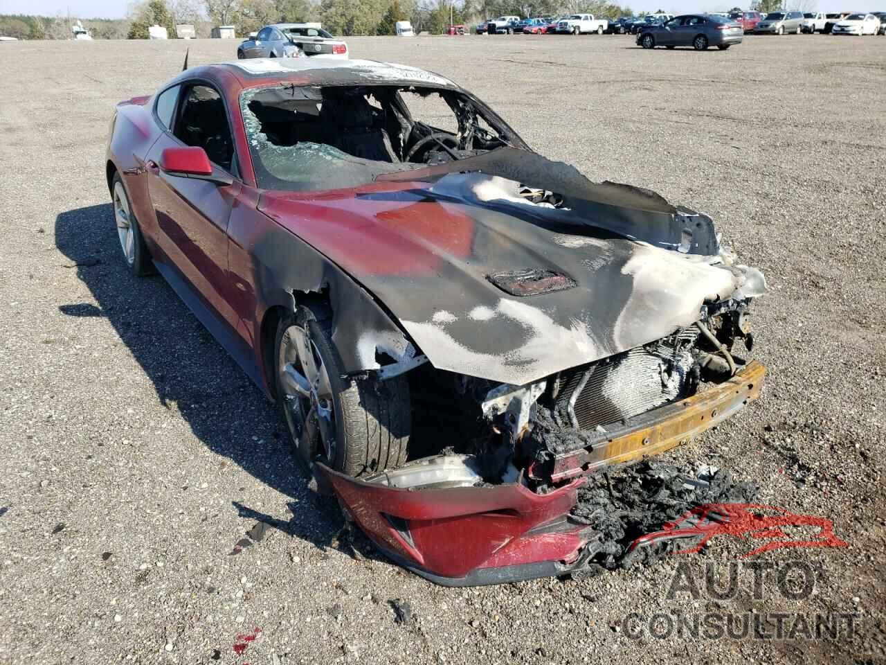 FORD MUSTANG 2019 - 1FA6P8TH9K5120171