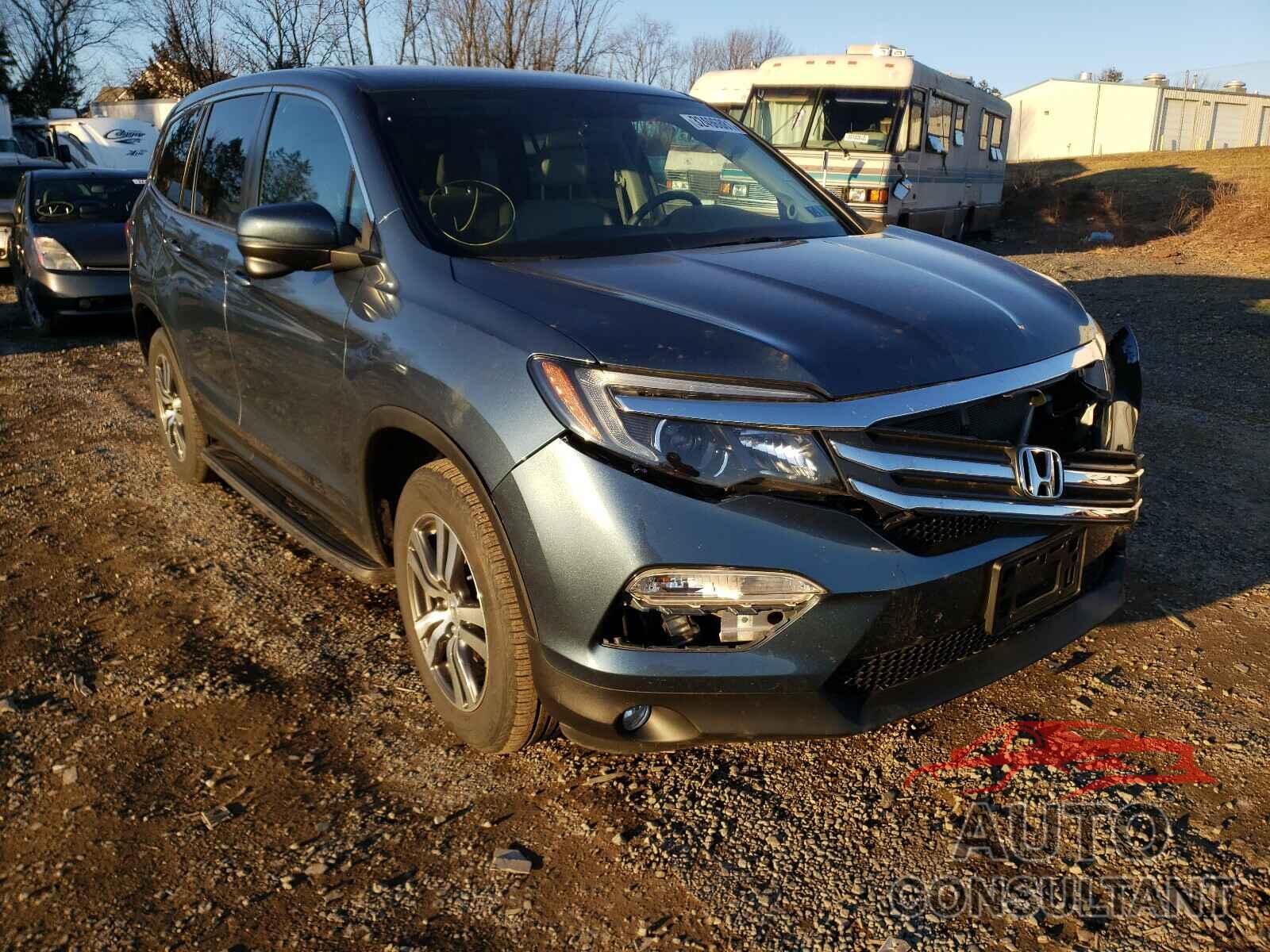 HONDA PILOT 2016 - 5FNYF6H36GB052960
