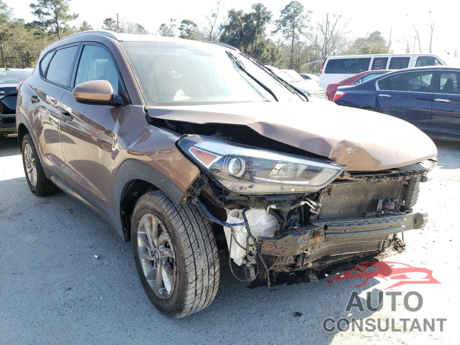HYUNDAI TUCSON 2016 - KM8J33A41GU104106