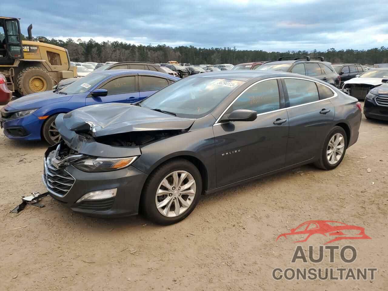 CHEVROLET MALIBU 2019 - 1G1ZD5ST4KF216068