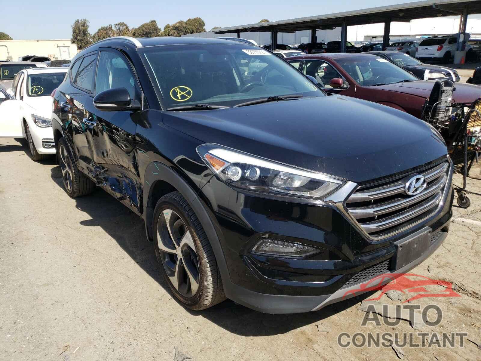 HYUNDAI TUCSON 2016 - KM8J33A25GU167014