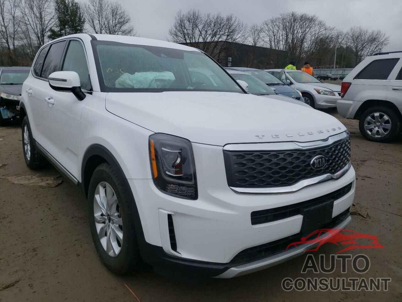 KIA TELLURIDE 2021 - 5XYP2DHC5MG180462