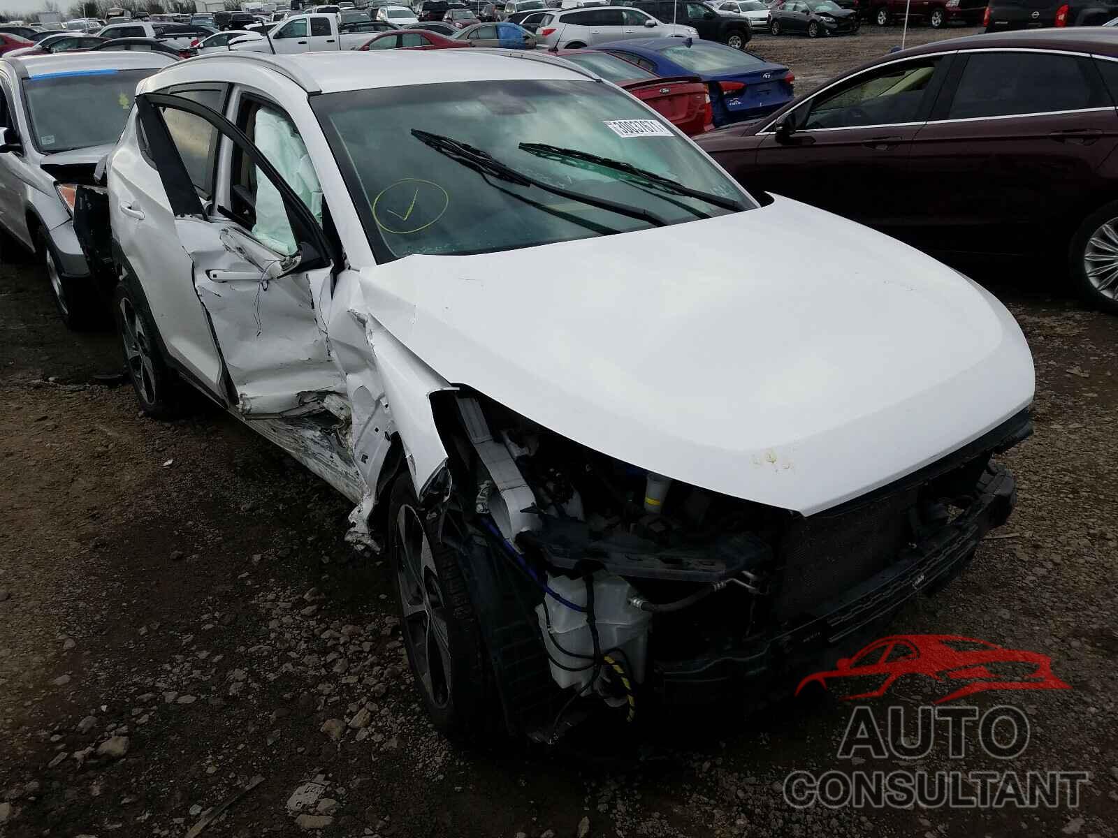 HYUNDAI TUCSON 2016 - KM8J3CA24GU098493