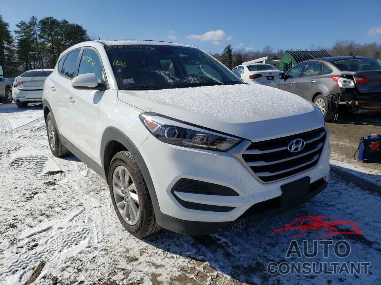 HYUNDAI TUCSON 2017 - KM8J23A49HU406635