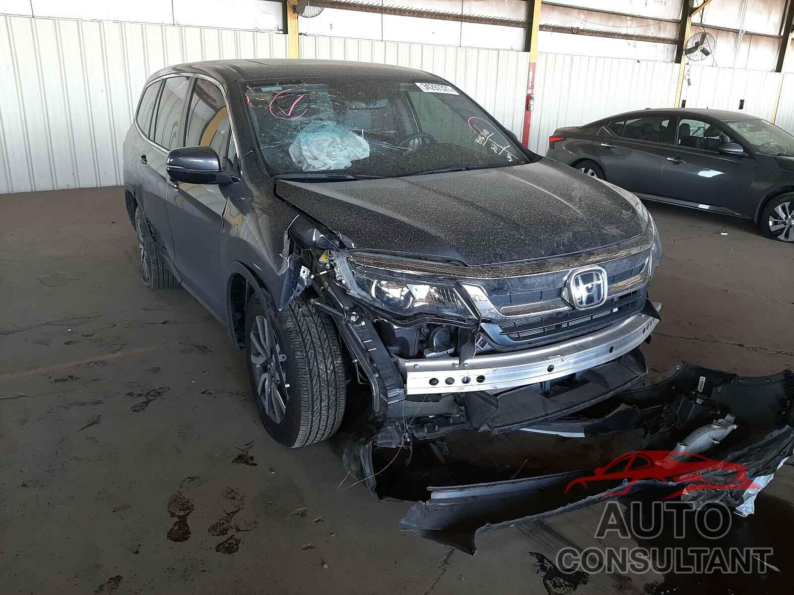HONDA PILOT 2019 - 5FNYF5H54KB036938