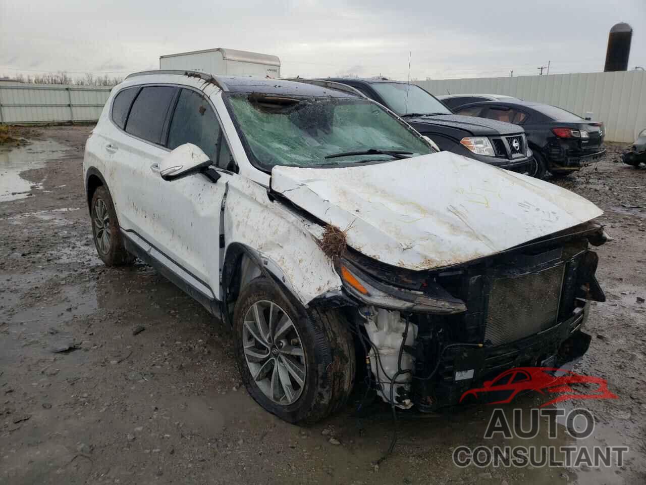 HYUNDAI SANTA FE 2019 - 5NMS53AD4KH012006