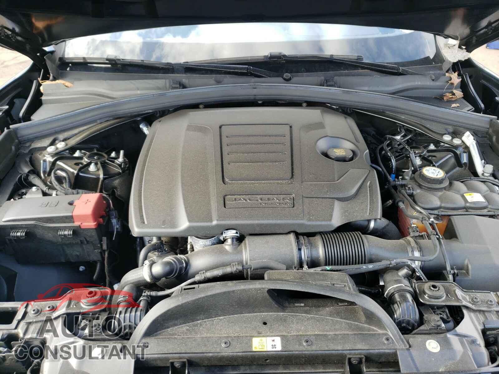 JAGUAR F-PACE 2020 - SADCK2FX3LA645977