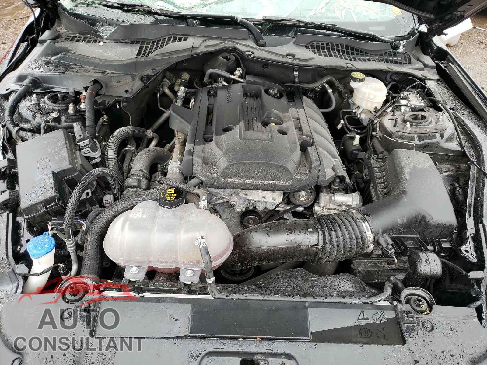 FORD MUSTANG 2020 - 1FA6P8TH2L5120269