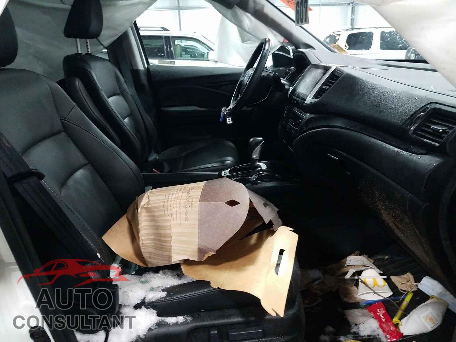 HONDA RIDGELINE 2019 - 5FPYK3F72KB013699