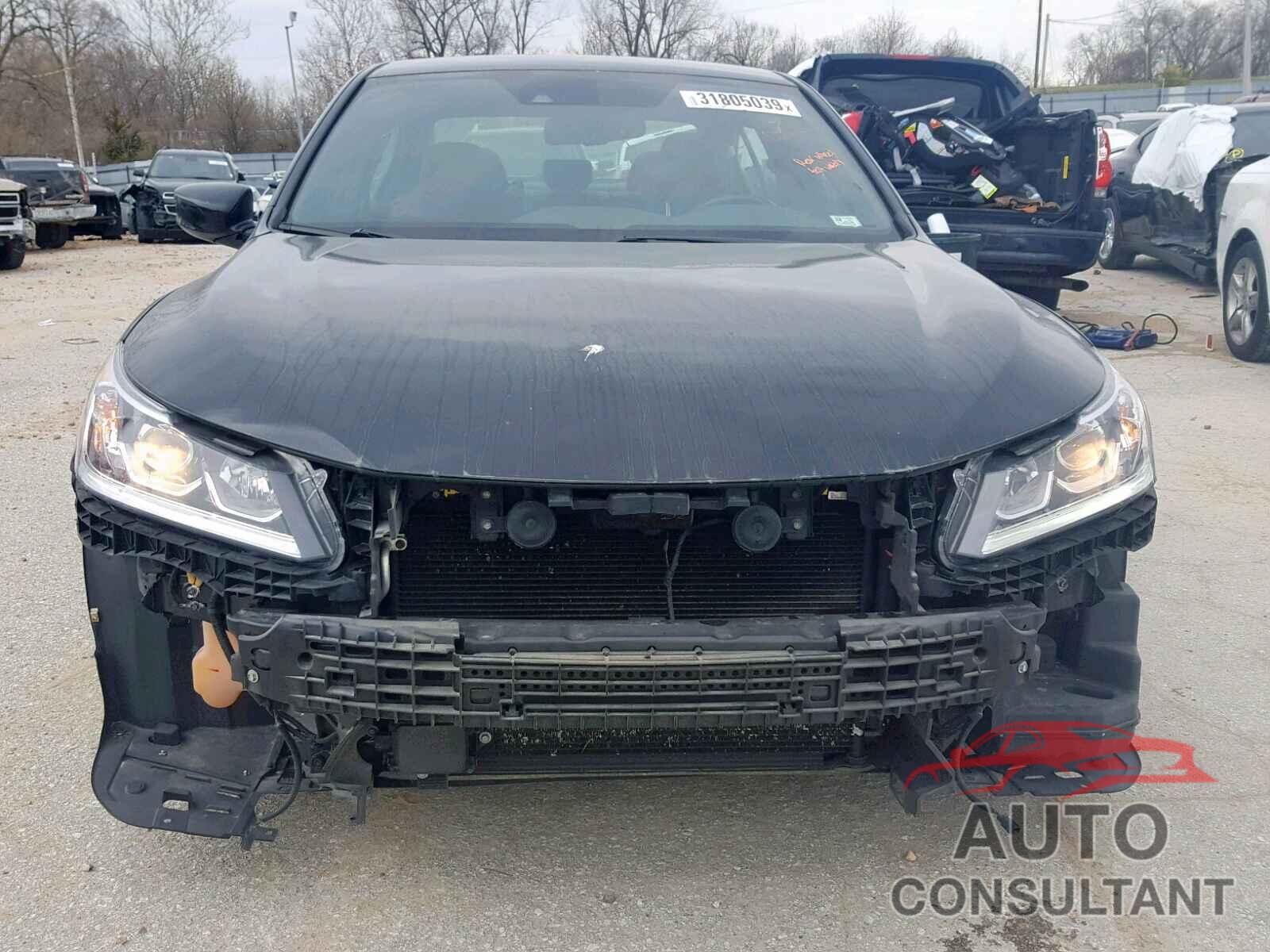 HONDA ACCORD SPO 2016 - JTDAAAAA1MA001110