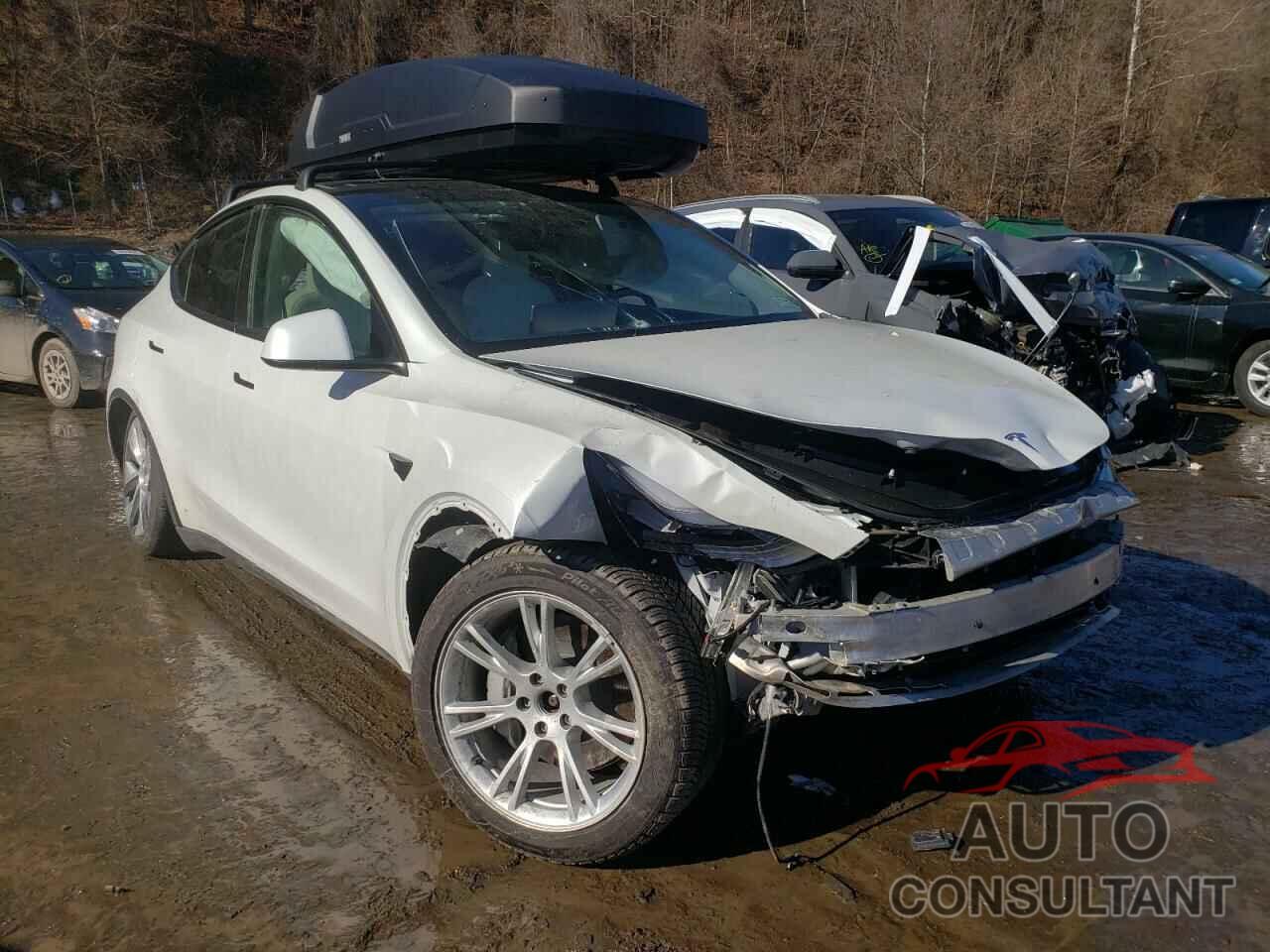 TESLA MODEL Y 2021 - 5YJYGDEEXMF076116