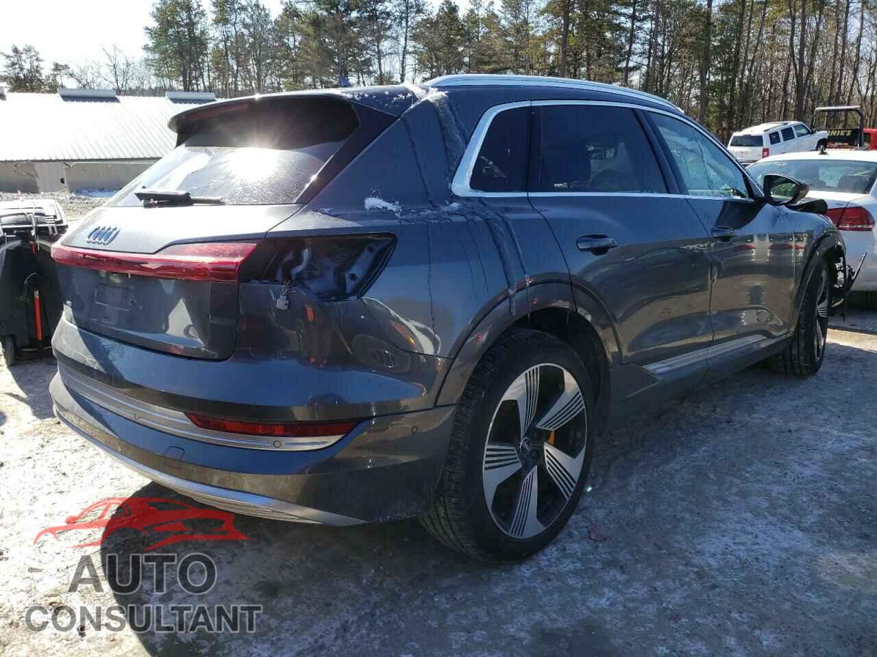 AUDI E-TRON 2019 - WA1VAAGE9KB006052